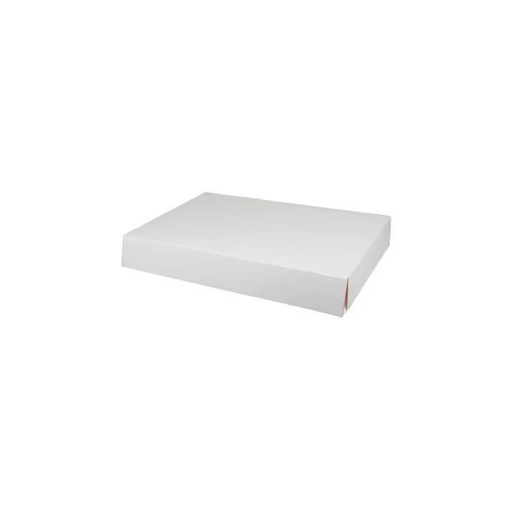 Boite traiteur blanc 19x28X6